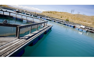 高濃度、高氨氮、難降解廢水生物處理技術經(jīng)驗總結(jié)