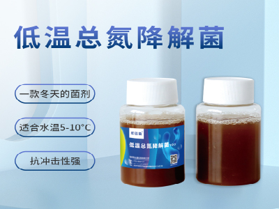 低溫總氮降解菌